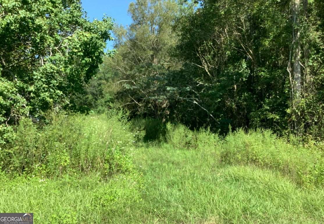 2 Acres of Land for Sale in White Oak, Georgia