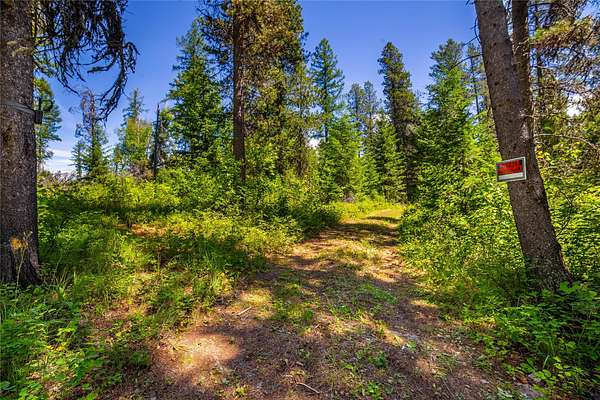 10 Acres of Recreational & Residential Land for Sale in West Glacier, Montana