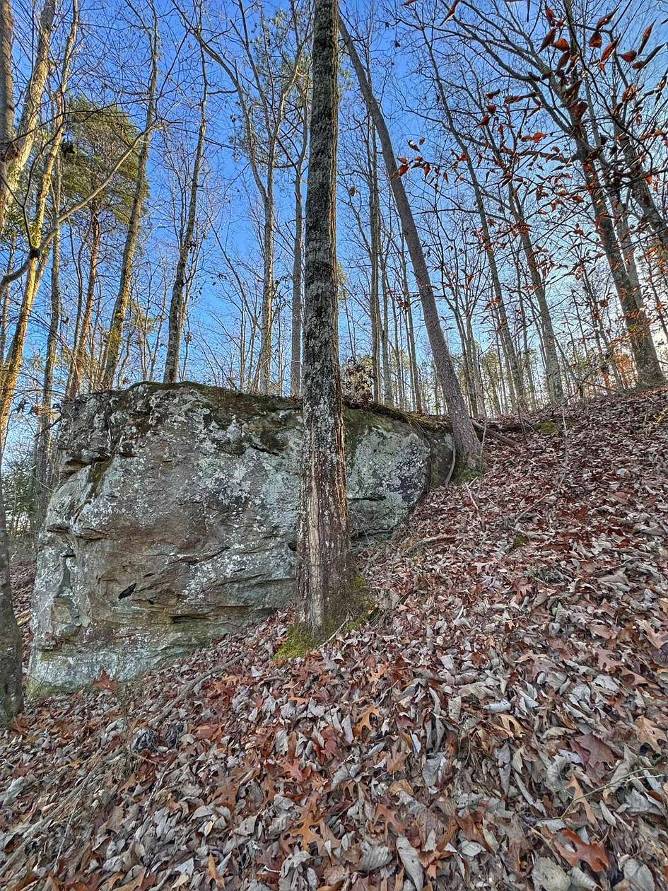 13.5 Acres of Recreational & Residential Land for Sale in Haleyville, Alabama