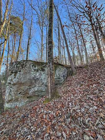 13.5 Acres of Recreational & Residential Land for Sale in Haleyville, Alabama