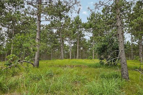 5.15 Acres of Residential Land for Sale in Rome, Wisconsin