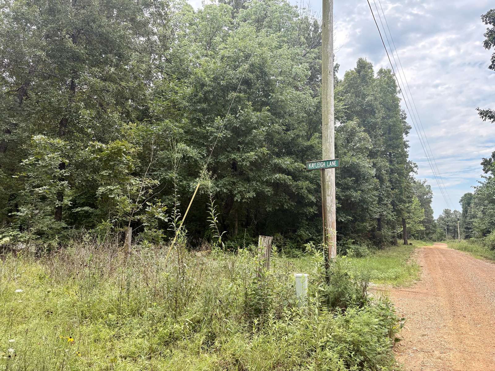 5 Acres of Residential Land for Sale in Imboden, Arkansas