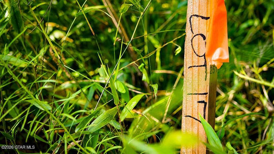 Residential Land for Sale in Brooksville, Mississippi