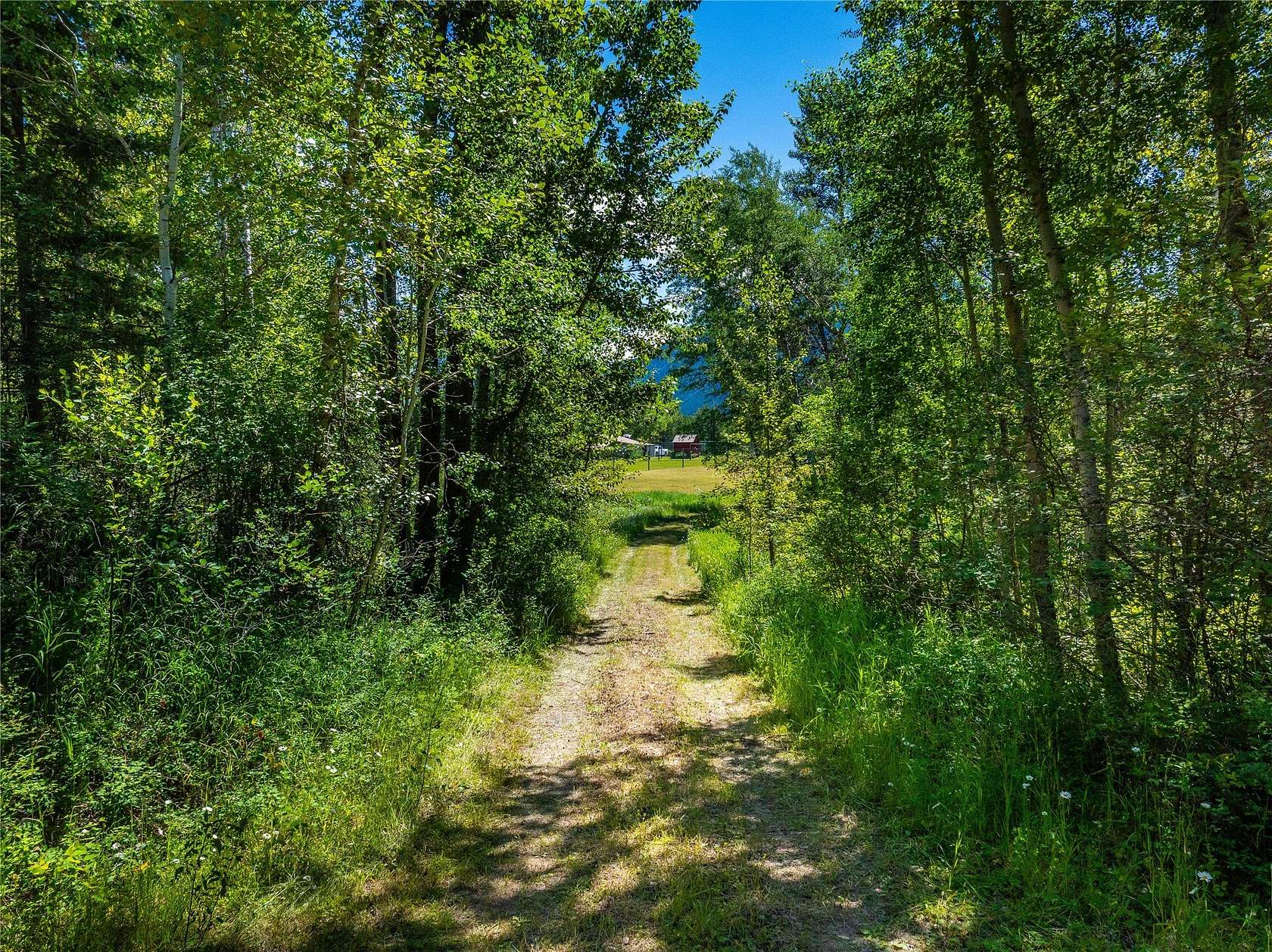 10 Acres of Recreational & Residential Land for Sale in West Glacier, Montana