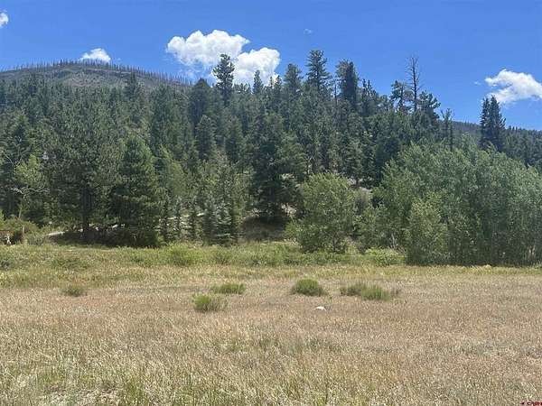 1 Acre of Residential Land for Sale in South Fork, Colorado