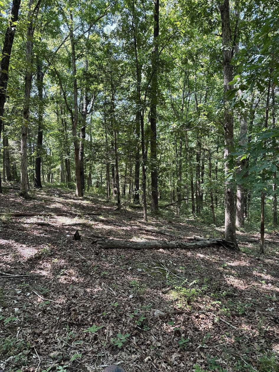 5.57 Acres of Residential Land for Sale in Marshfield, Missouri