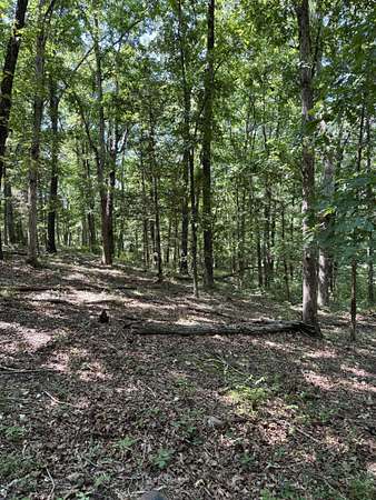 5.57 Acres of Residential Land for Sale in Marshfield, Missouri
