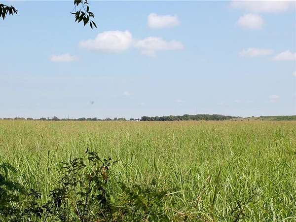 7.53 Acres of Residential Land for Sale in Lucas, Texas
