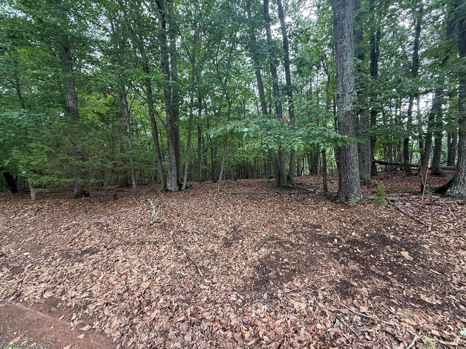 0.47 Acres of Residential Land for Sale in Huddleston, Virginia