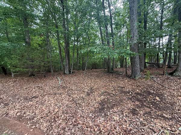 0.47 Acres of Residential Land for Sale in Huddleston, Virginia