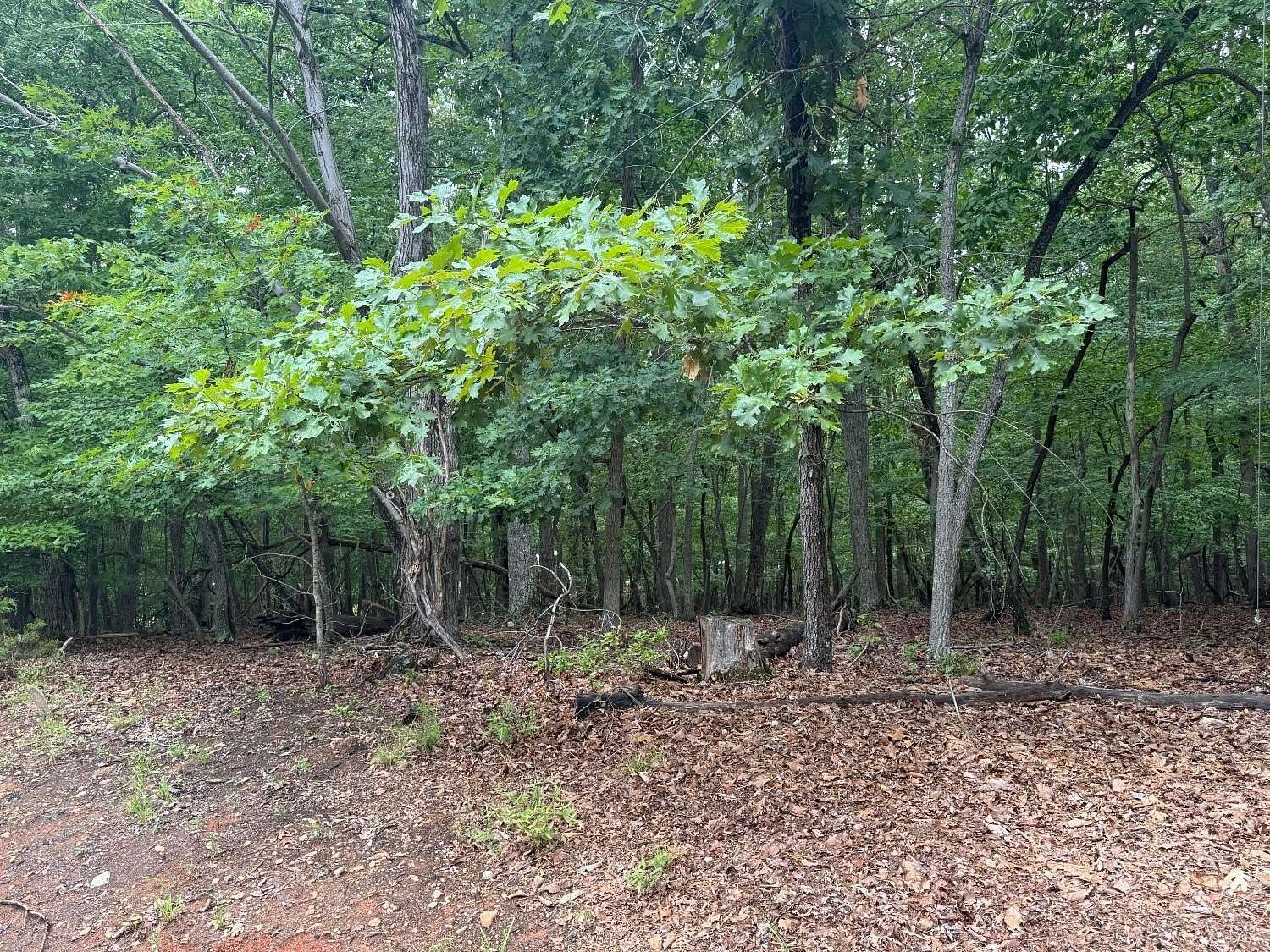 0.53 Acres of Residential Land for Sale in Huddleston, Virginia