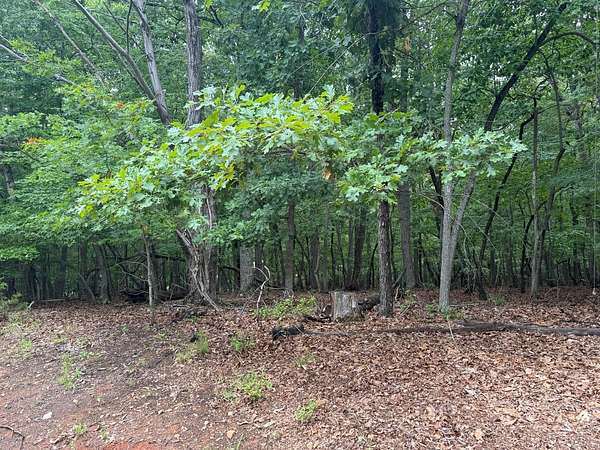 0.53 Acres of Residential Land for Sale in Huddleston, Virginia