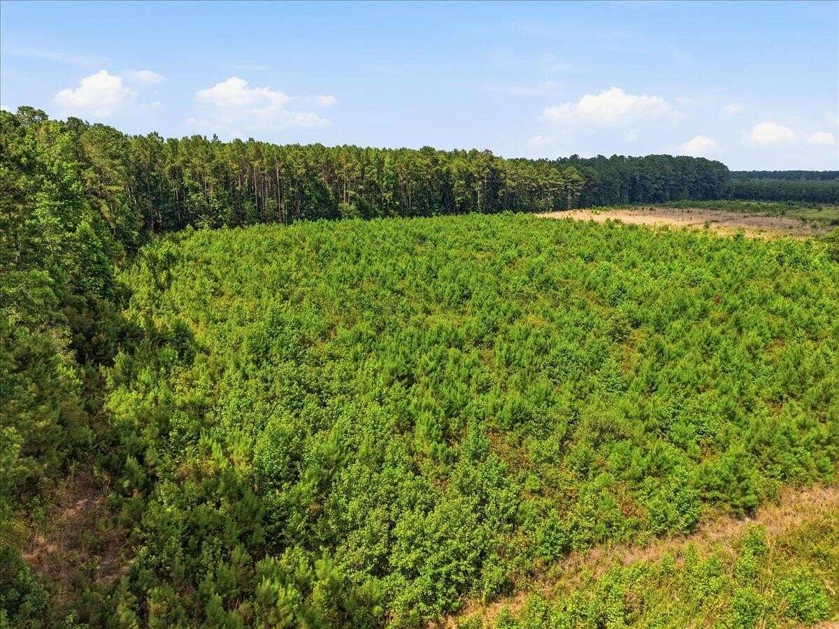 5 Acres of Land for Sale in Cottageville, South Carolina