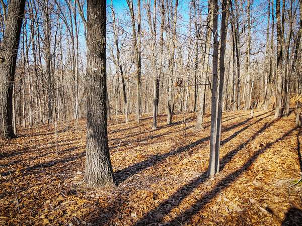 2.25 Acres of Residential Land for Sale in Tunas, Missouri