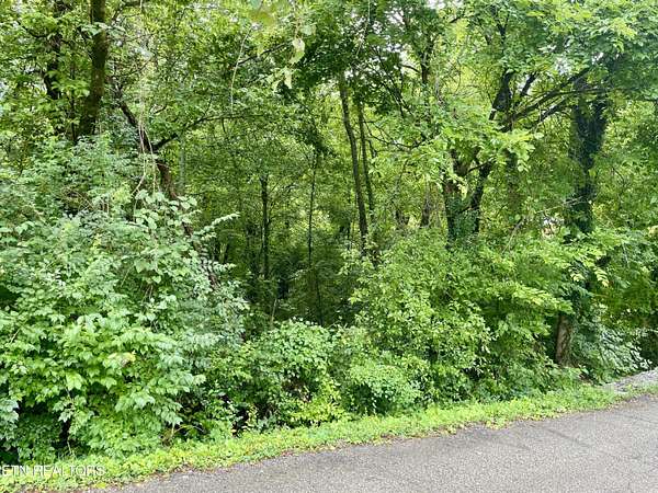 0.45 Acres of Residential Land for Sale in Knoxville, Tennessee
