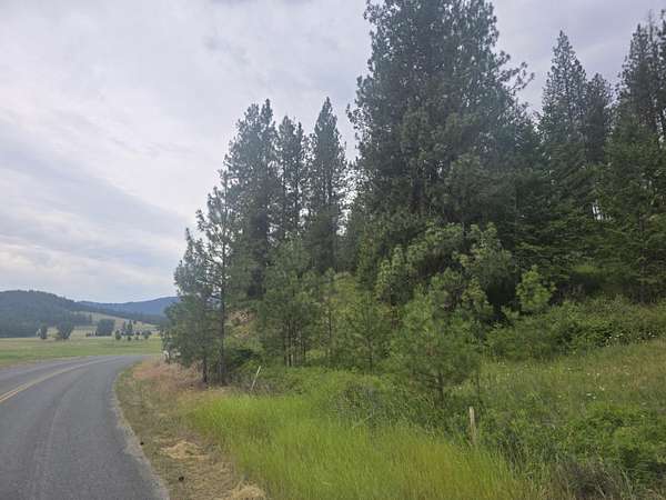 52 Acres of Recreational & Residential Land for Sale in Colville, Washington