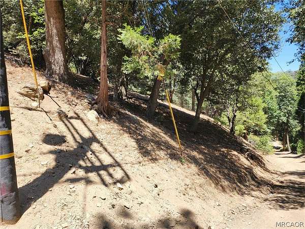 0.1 Acres of Residential Land for Sale in Cedarpines Park, California