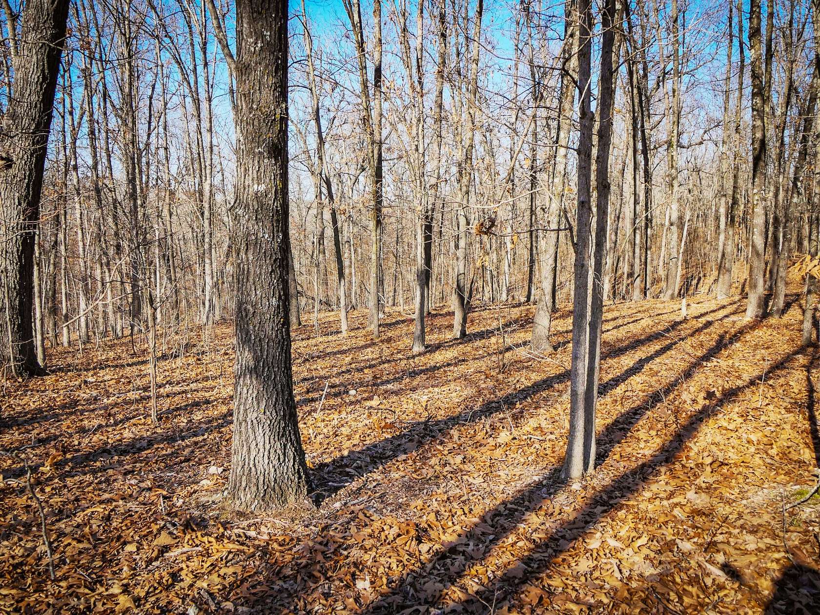 2.25 Acres of Residential Land for Sale in Tunas, Missouri