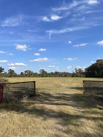 23.1 Acres of Recreational Land for Sale in Pittsburg, Texas