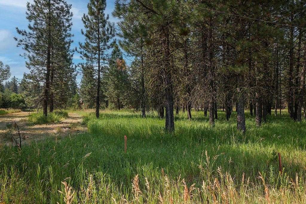 1.2 Acres of Land for Sale in McCall, Idaho