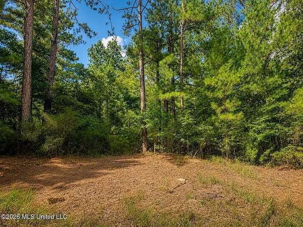 4.39 Acres of Residential Land for Sale in Lucedale, Mississippi