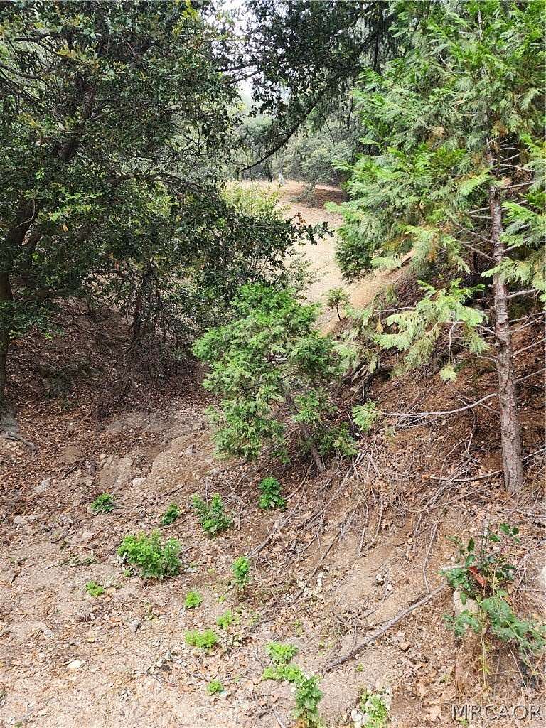 0.2 Acres of Land for Sale in Cedarpines Park, California