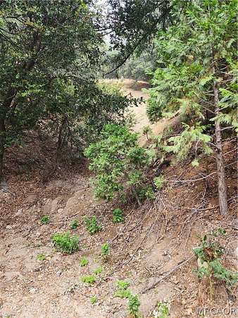 0.2 Acres of Land for Sale in Cedarpines Park, California