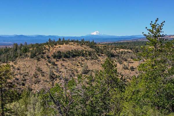 45.8 Acres of Recreational & Residential Land for Sale in Shingletown, California