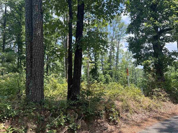 79 Acres of Land for Sale in Glenwood, Arkansas