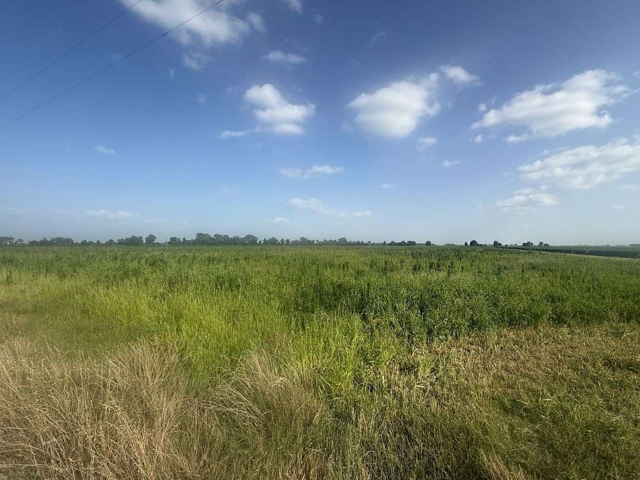 38.5 Acres of Agricultural Land for Sale in Hayti, Missouri