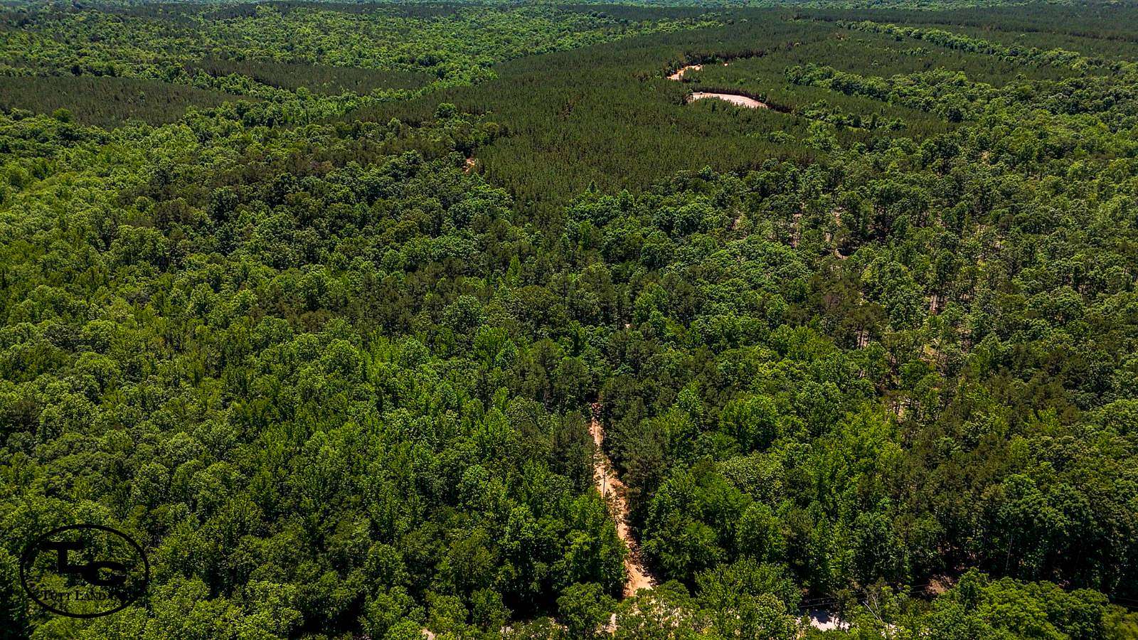 170 Acres of Land for Sale in Pocahontas, Tennessee