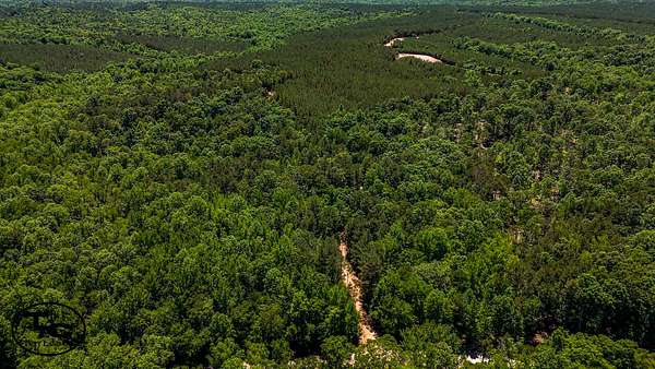 170 Acres of Land for Sale in Pocahontas, Tennessee