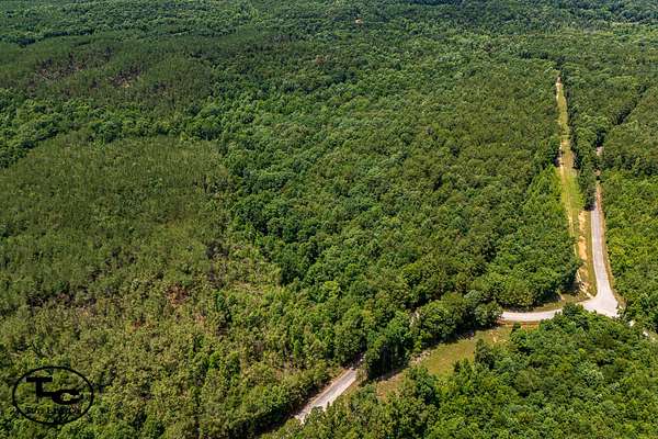 78 Acres of Land for Sale in Pocahontas, Tennessee