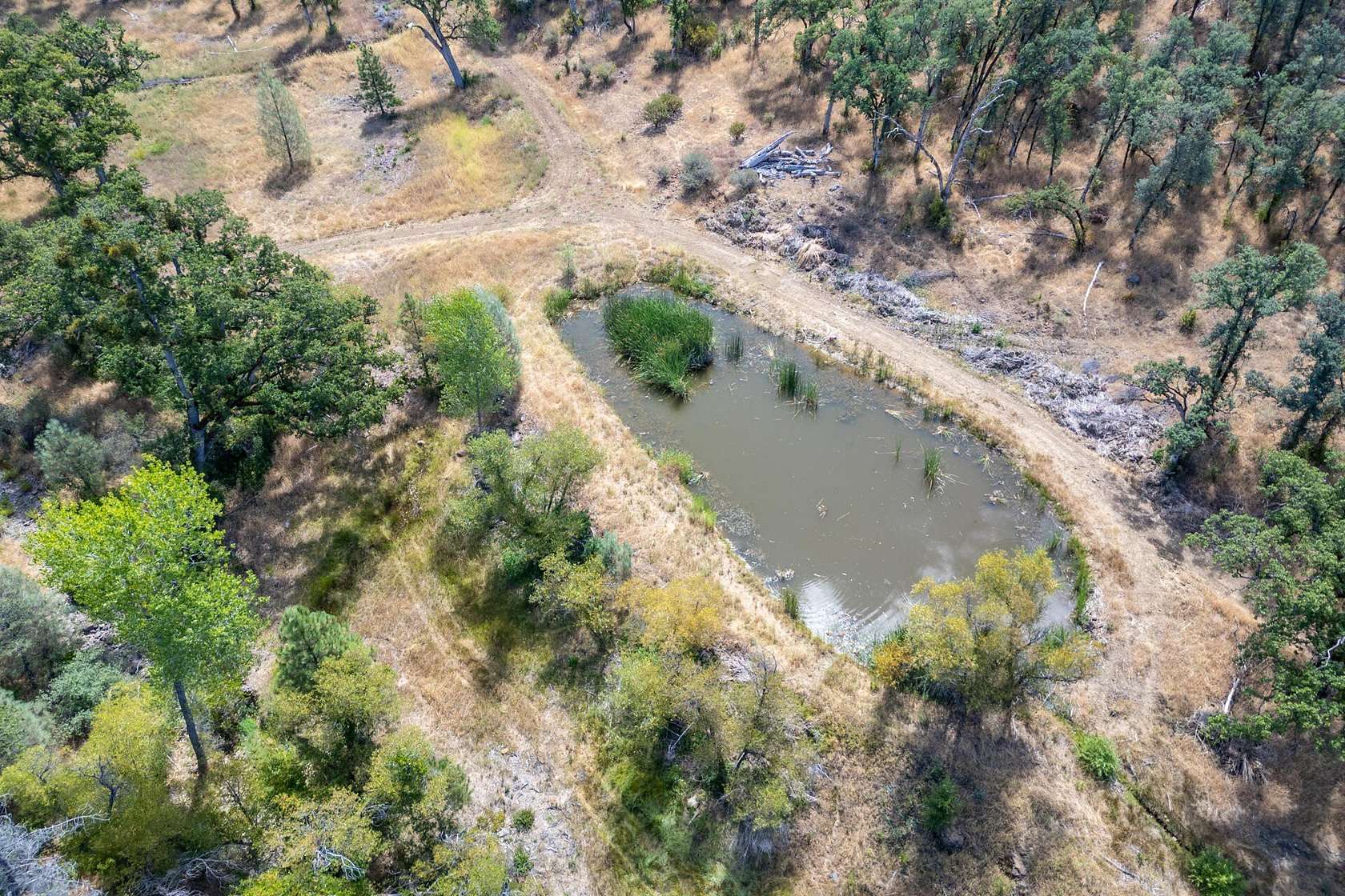 40 Acres of Recreational & Residential Land for Sale in Shingletown, California