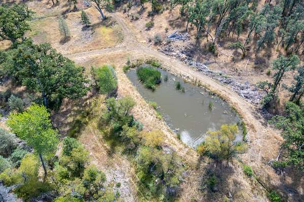 40 Acres of Recreational & Residential Land for Sale in Shingletown, California