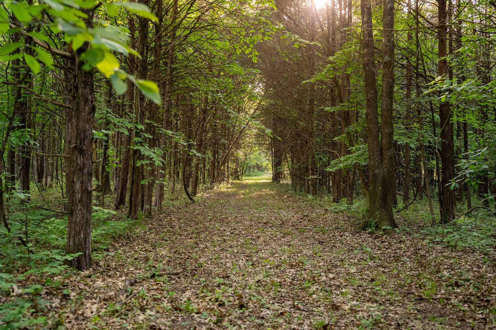 11.1 Acres of Land for Sale in Mount Juliet, Tennessee