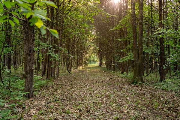 11.1 Acres of Land for Sale in Mount Juliet, Tennessee