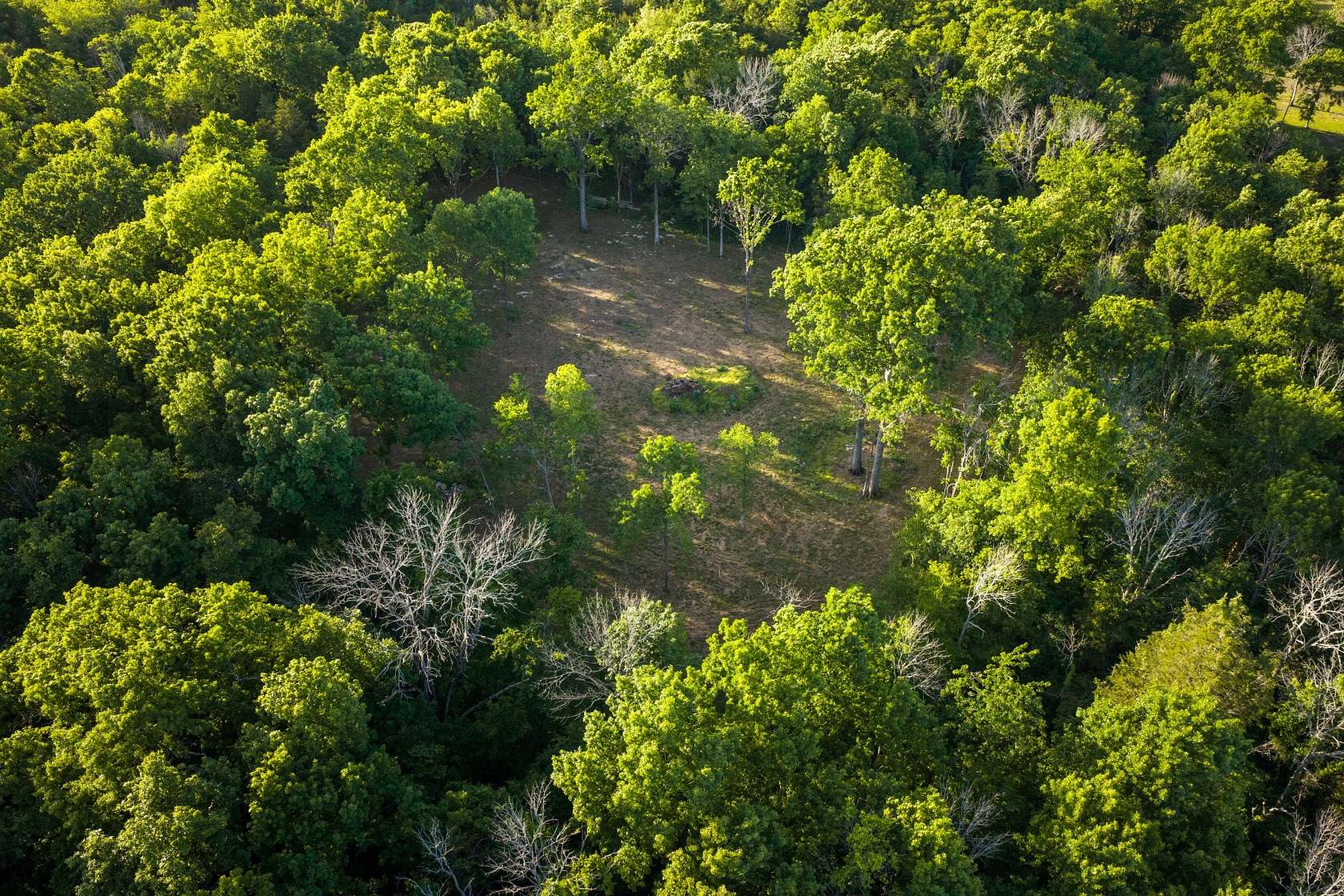 11.5 Acres of Land for Sale in Mount Juliet, Tennessee