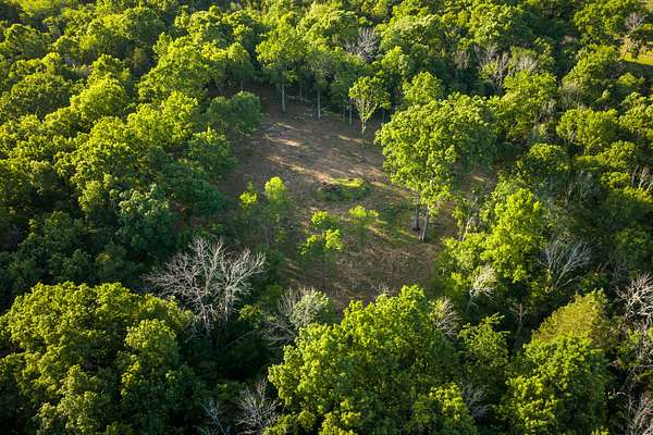 11.5 Acres of Land for Sale in Mount Juliet, Tennessee