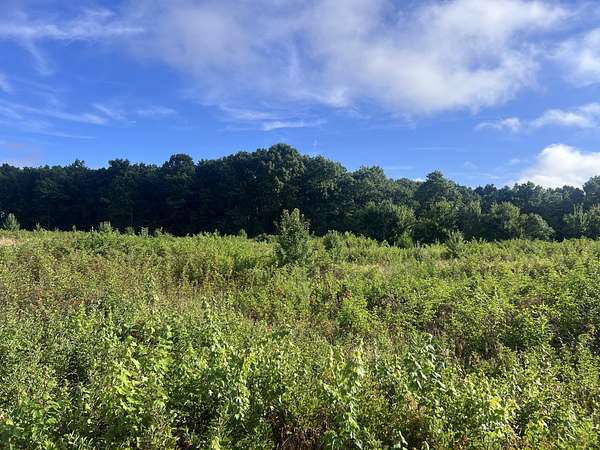 28.2 Acres of Land for Sale in Crossville, Tennessee