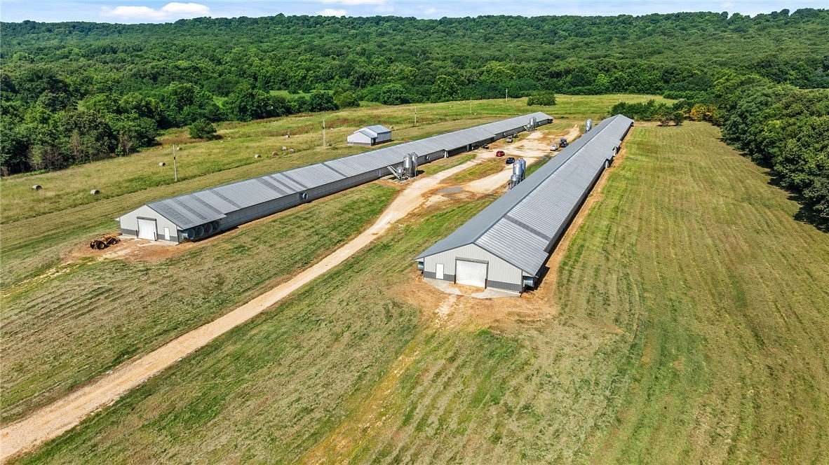20 Acres of Agricultural Land for Sale in Lincoln, Arkansas