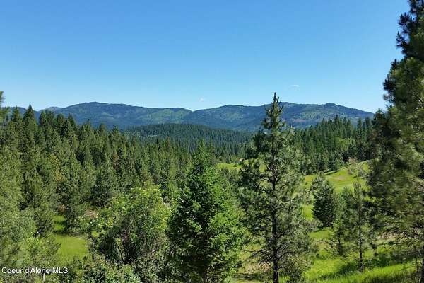 20 Acres of Recreational & Residential Land for Sale in Rockford, Washington