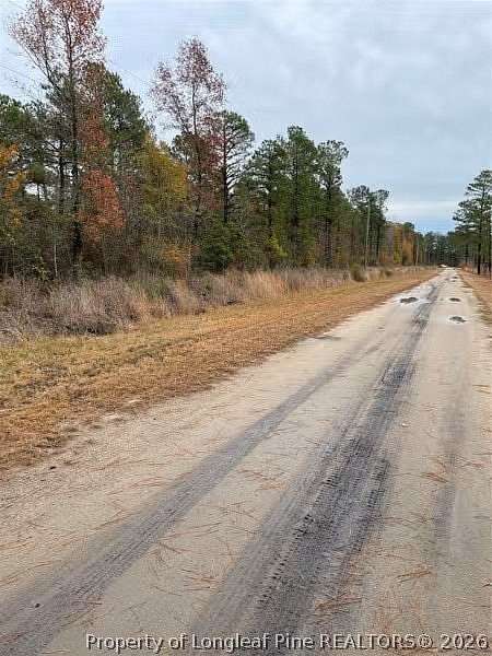 44 Acres of Recreational & Residential Land for Sale in Maxton, North Carolina