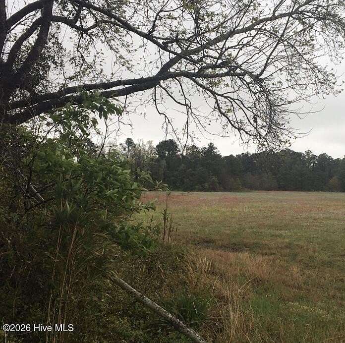31.3 Acres of Recreational & Residential Land for Sale in North Myrtle Beach, South Carolina