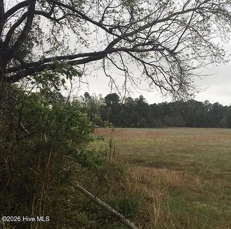 31.3 Acres of Recreational & Residential Land for Sale in North Myrtle Beach, South Carolina