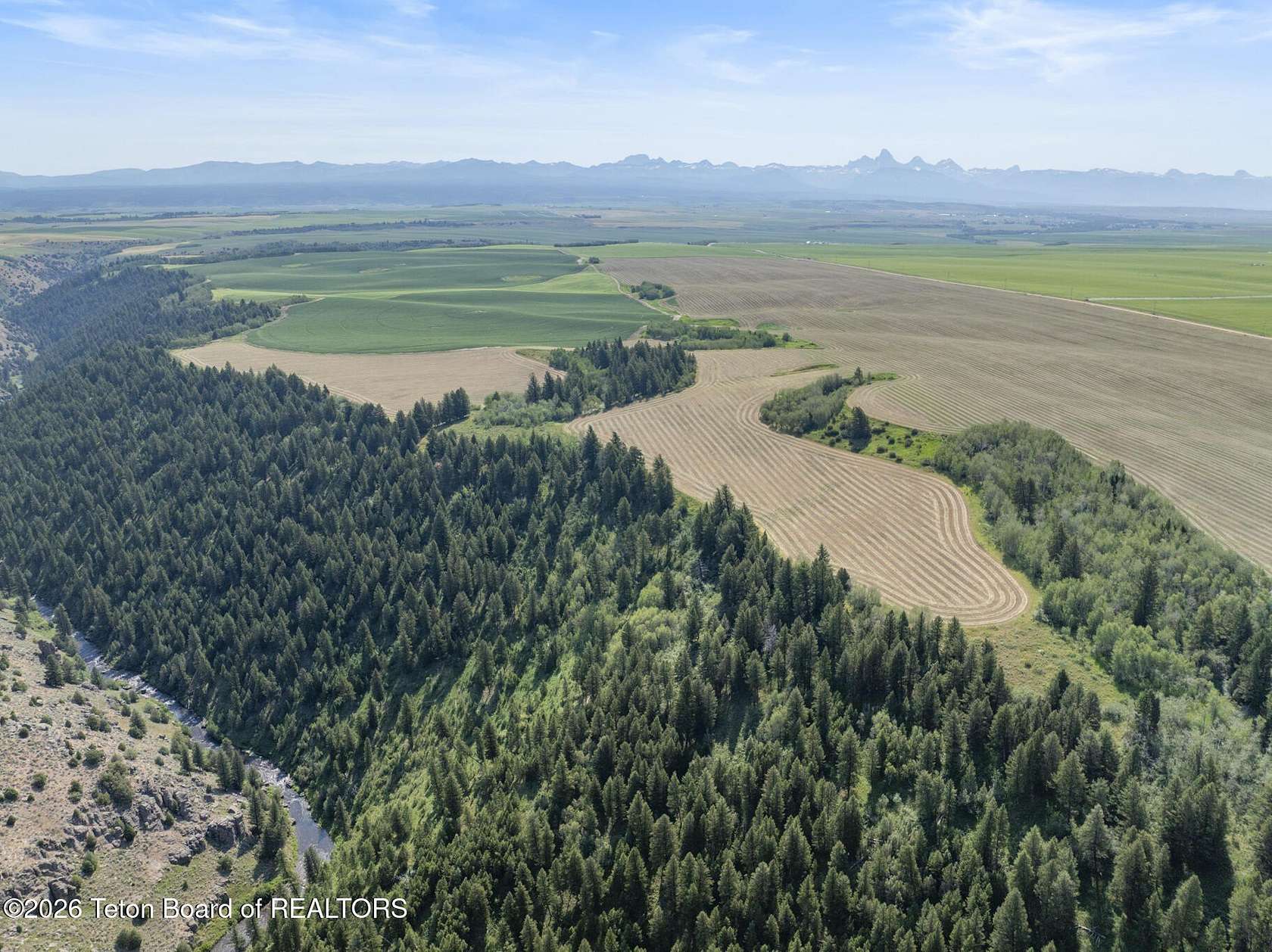 72.8 Acres of Land for Sale in Felt, Idaho