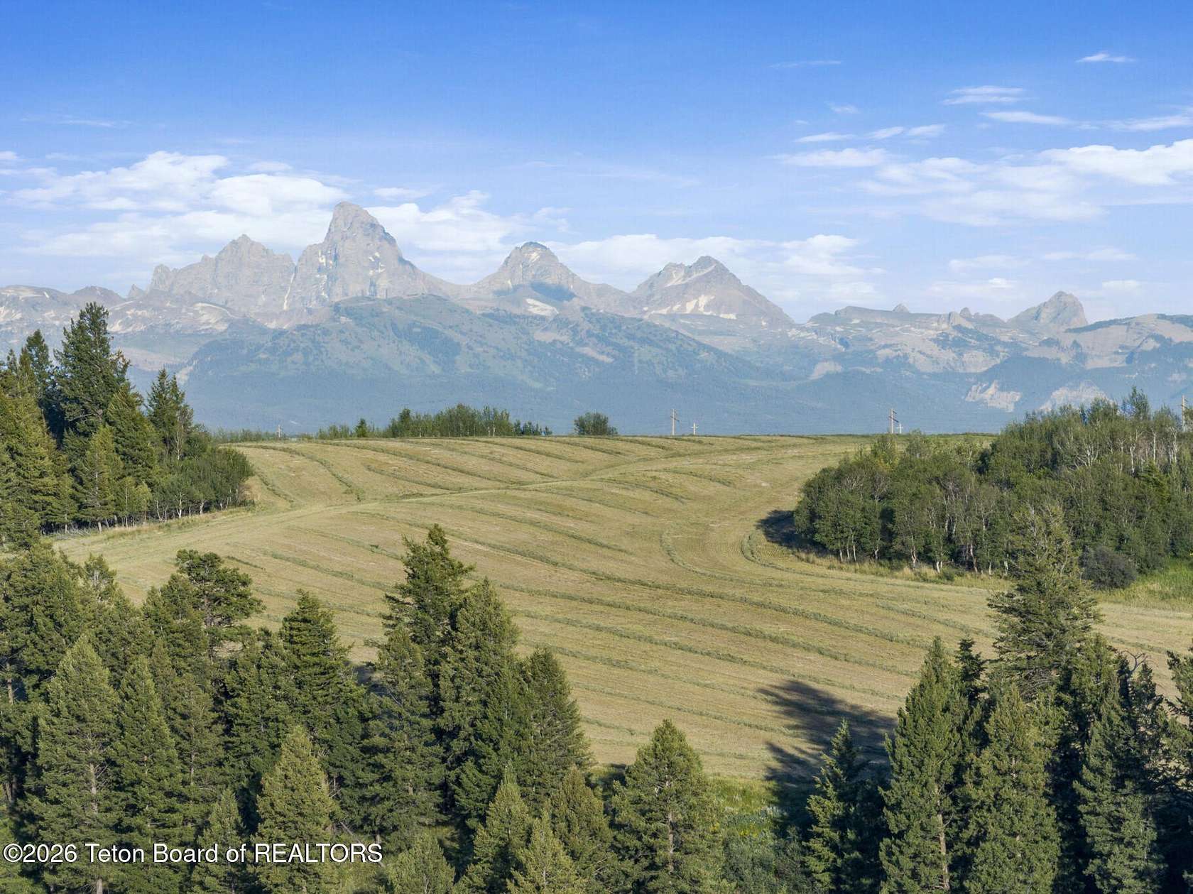 72.8 Acres of Land for Sale in Felt, Idaho