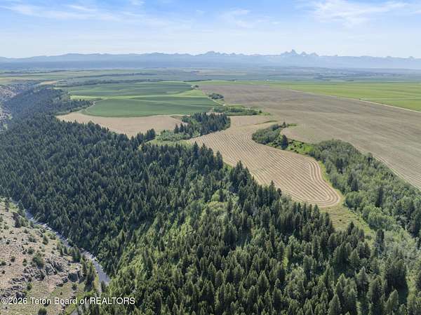 72.8 Acres of Land for Sale in Felt, Idaho
