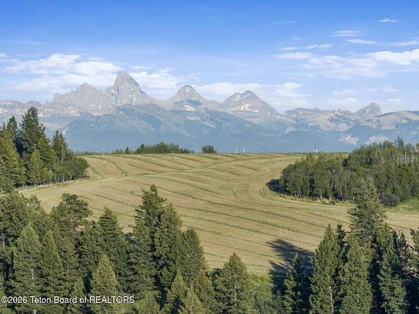 72.8 Acres of Land for Sale in Felt, Idaho