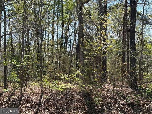 0.26 Acres of Residential Land for Sale in Ruther Glen, Virginia